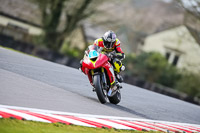 Oulton-Park-21st-March-2020;PJ-Motorsport-Photography-2020;anglesey;brands-hatch;cadwell-park;croft;donington-park;enduro-digital-images;event-digital-images;eventdigitalimages;mallory;no-limits;oulton-park;peter-wileman-photography;racing-digital-images;silverstone;snetterton;trackday-digital-images;trackday-photos;vmcc-banbury-run;welsh-2-day-enduro